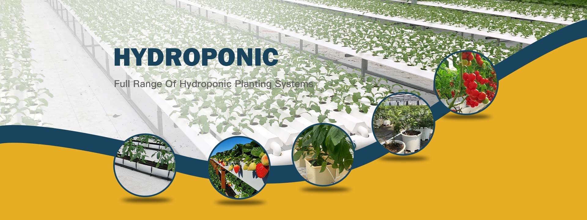 جودة Multi Span Greenhouse مصنع