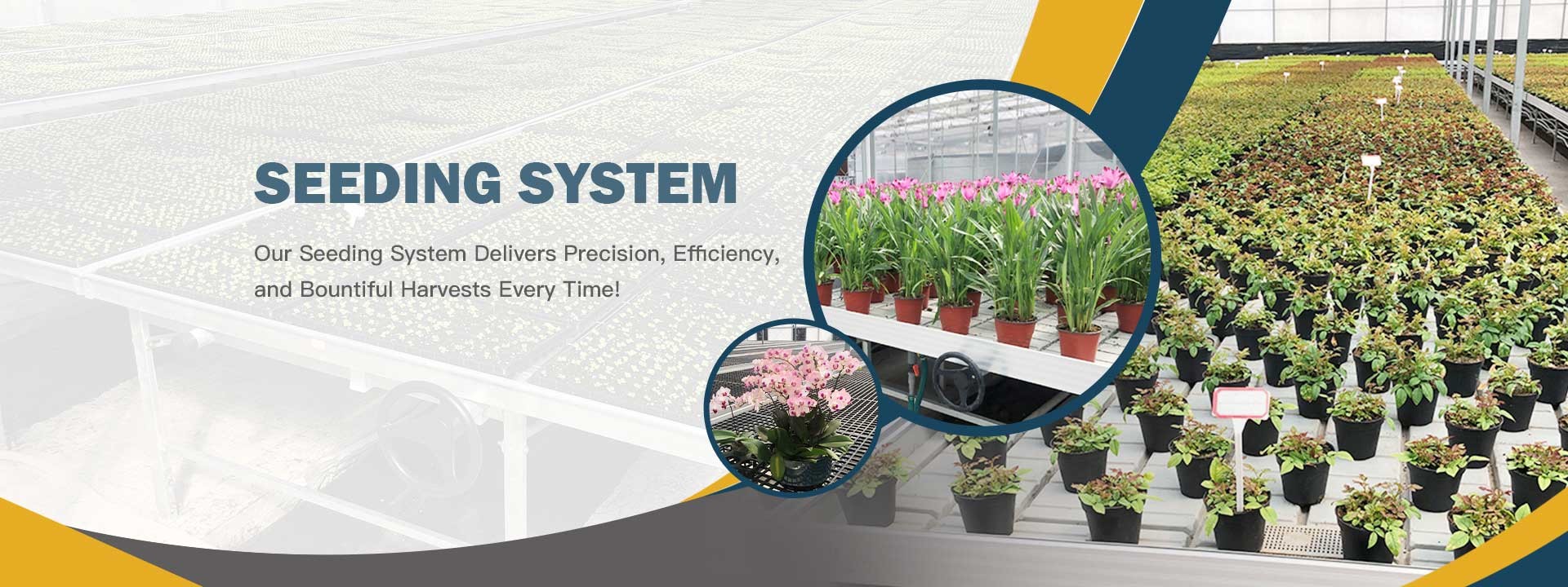 جودة Multi Span Greenhouse مصنع