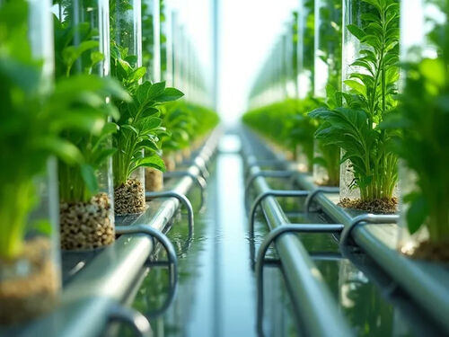 Letzter Firmenblog über Vertical Farming Boosts Urban Agriculture with NFT Tech