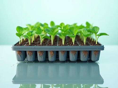 Latest company blog about Guide to Efficient Bottom Watering for Seedlings