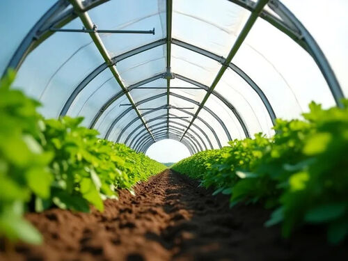 Latest company blog about High Tunnel Farming Boosts Yields Extends Growing Seasons