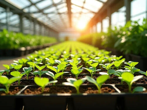 latest company blog about Oregons Nursery Industry Booms Amid Growing Demand