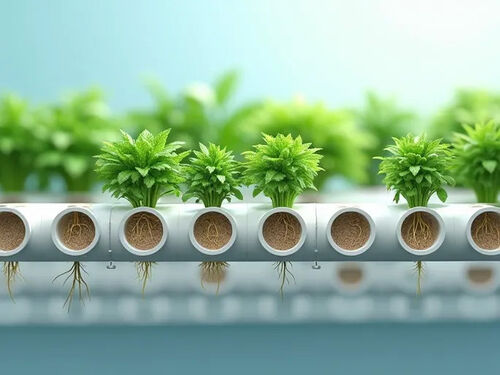 latest company blog about Guide to Selecting PVC Pipes for Hydroponics Systems