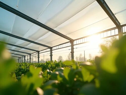 latest company blog about 6mil Plastic Film Enhances Greenhouse Efficiency