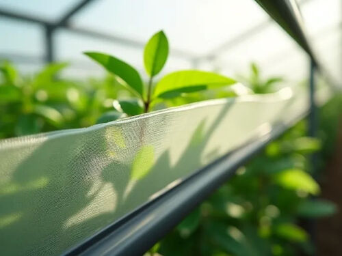 latest company blog about Agtecs Ultratough Greenhouse Film Boosts Durability for Crop Protection