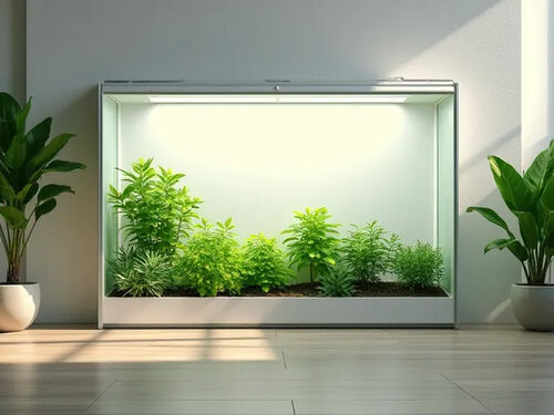 latest company blog about Urban Homes Embrace Indoor Greenhouses for Sustainable Living