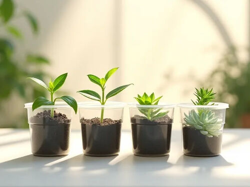 最新の会社ブログについて 都市 の ガーデナー たち は 持続可能な 植え方 に プラスチック 容器 を 改用 し て い ます