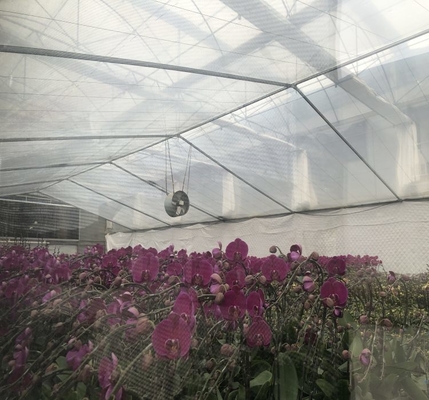 Estufas para o exterior Estruturas metálicas Agricultura Agricultura Comercial Estufas de plástico de grandes dimensões para plantas
