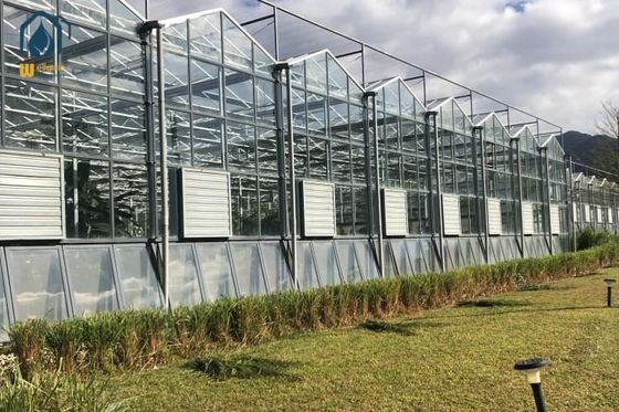 Glastuinbouw met meerdere ruimten voor landbouwproductie met een hoge opbrengst