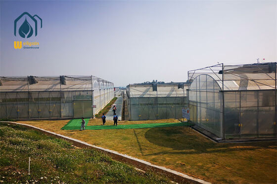 Greenhouse Multi Span Greenhouse Lengkap Dengan Sistem Hidroponik