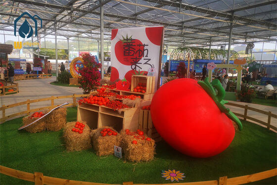 Rumah Kaca Multi-Span Transmisi Cahaya Tinggi dengan Ventilasi yang Baik dan Struktur Kuat untuk Hortikultura