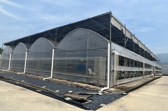 Qualität Gewerbliche landwirtschaftliche Gewächshäuser mit Bewässerungssystem usine