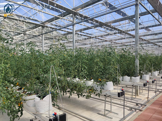 Bom preço. Substrato de aço de estufa de plantio Sistema hidropónico agrícola para tomates on-line