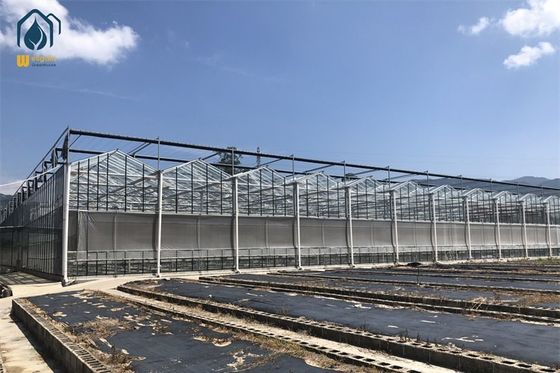 अच्छी कीमत गर्म जस्ती स्टील पाइप टेम्पर्ड ग्लास ग्रीनहाउस 8m 9.6m 12m स्पैन चौड़ाई ऑनलाइन