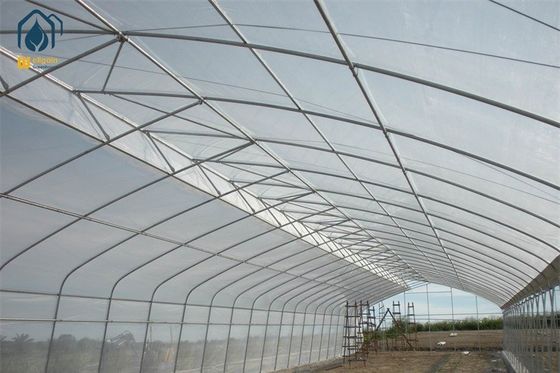 Ein guter Preis. Anpassungsfähiger Tunnel Mehrspannung Gewächshaus 5m - 12m Breite mit Tropfbewässerungssystem Online