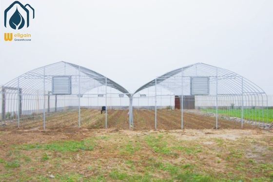 Un buen precio. Invernadero prefabricado multi-tramos de bajo costo para agricultura para el cultivo de tomate y pimiento en línea