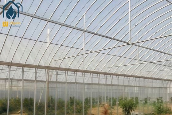 Goede prijs. Landbouw Multi Span Poly Tunnel Kas Milieuvriendelijk voor groenten online