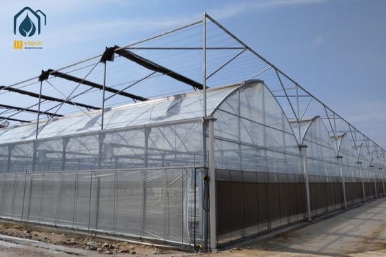 良い価格 農業用 鉄筋ガルバン化 野菜栽培用 多スパン温室 オンライン