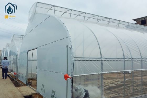 Good price Hot Galvanized Steel Structure Commercial Tunnel Flower Vegetable Growing Greenhouse online