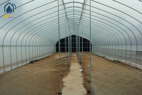 Single Span Tunnel Greenhouse