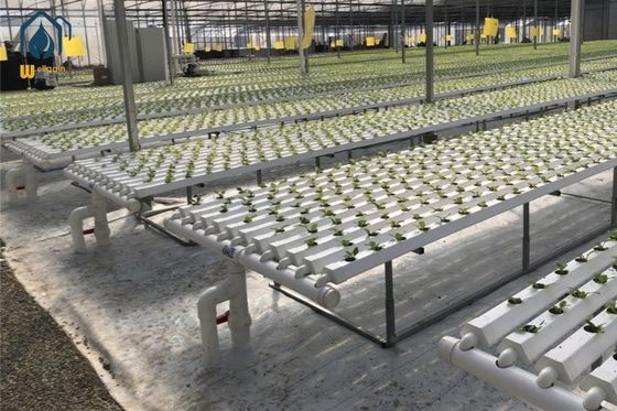 Good price High Yield Agriculture Hydroponic Growing System Greenhouse NFT Growing Troughs online