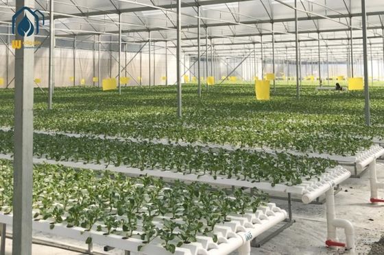 Good price Greenhouse NFT Hydroponic Growing System For Soilless Agriculture Plant Growth online