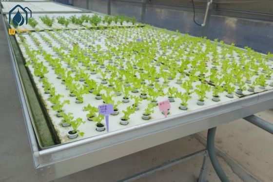 Bom preço. Equipamento de plantação hidropônica on-line