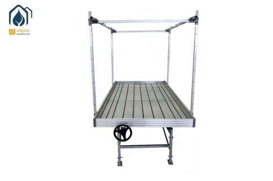 Harga yang bagus Komersial Greenhouse Ebb And Flow Rolling Benches Peralatan hidroponik Tabel banjir on line