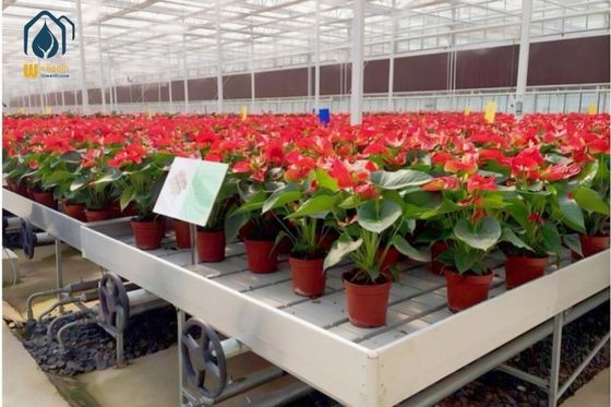 Giá tốt. Custom 4x8 Nursery Hydroponic Ebb And Flow Table Rolling Bench Grow Rack trực tuyến