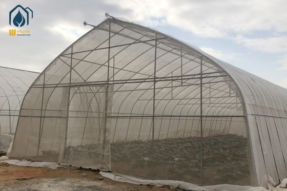 Harga yang bagus Oval Tube Film Multi Span Greenhouse Arched Commercial Greenhouse Frame on line