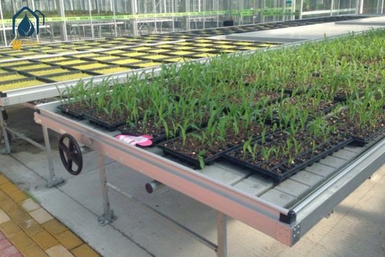 ราคาดี เตียง Ebb And Flow สําหรับการเกษตร เตียงปลูกเมล็ด Hydroponic เตียงห้องปลูกภายใน เตียง ออนไลน์