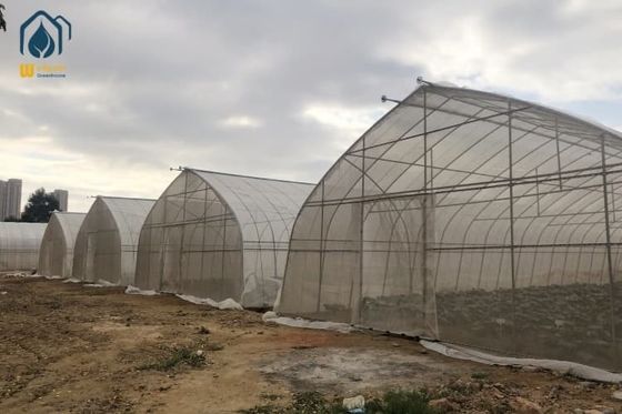 Un buon prezzo. PE PO Film Tunnel Serra Commerciale Serra Agricola Personalizzabile in linea