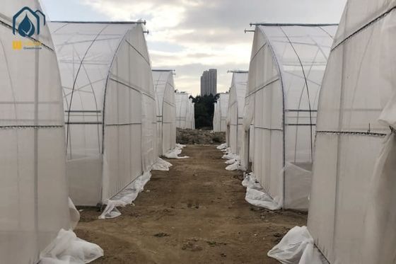 Ein guter Preis. Landwirtschaft Tunnel Gewächshaus Galvanisierter Stahlrahmen Einfachspannung Gewächshaus Online