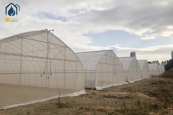 Bom preço. Estufas de filtro de plástico para vegetais on-line