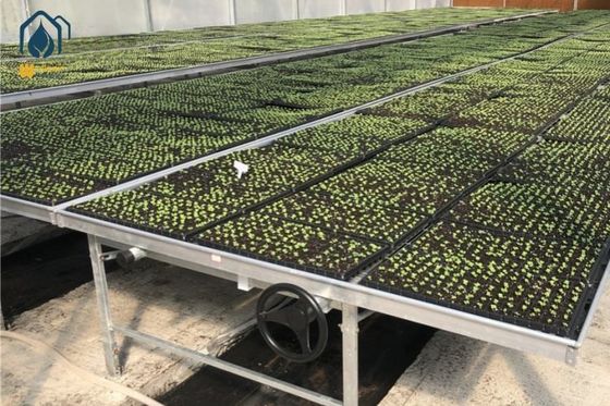 Un buen precio. Tela de cultivo de semillas de malla metálica galvanizada para la agricultura en línea