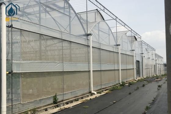 良い価格 トマト植物の栽培のための大きな完全な防水マルチスパン温室 オンライン