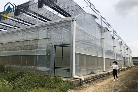 良い価格 農業 多種植物を栽培する温室 トンネル 多種植物を栽培する温室 オンライン