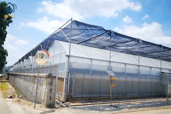 Ein guter Preis. Gewerbliches Mehrspann-Plastik-Landwirtschaftsgewächshaus mit Polyethylen-Abdeckung Online