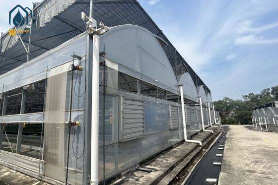Good price Multi Span Cultivation Hydroponic System Greenhouse For Year Round Farming online