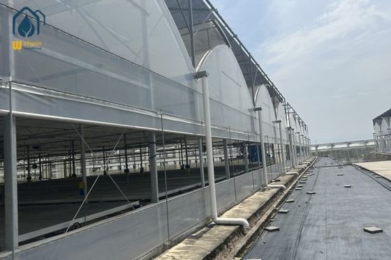 良い価格 水を節約する解決策で温室で栽培する多種間有機作物 オンライン
