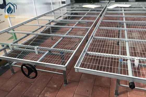 Καλή τιμή. Εσωτερικό θερμοκηπίο Wire Mesh Σπόρος Bench Ρυθμίσιμο ύψος Φυτοκομείο Σπόρος Bed Rolling Bench σε απευθείας σύνδεση
