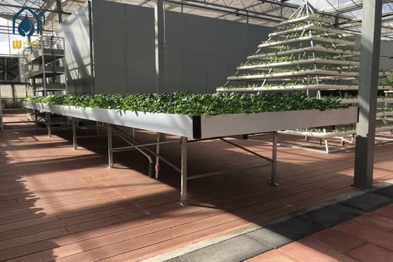 ราคาดี ABS พลาสติก Ebb And Flow Rolling Benches ช่องระบายน้ํา ช่องปลูกแบบไฮโดรโปนิค ตารางน้ําท่วม ออนไลน์
