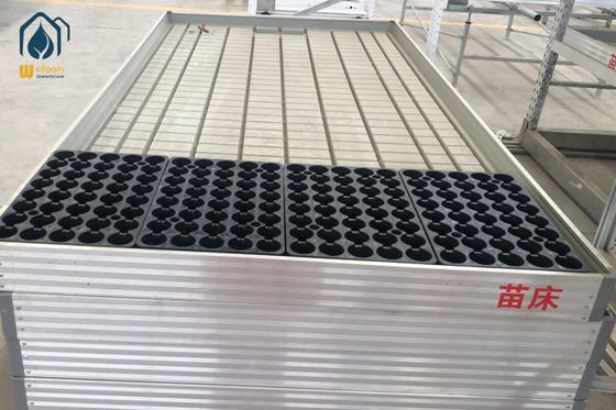 Good price Commercial Ebb And Flow Rolling Benches Hydroponics Greenhouse Growing Trays online
