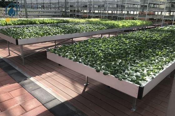 İyi bir fiyat. Hydroponics Ebb And Flow Rolling Benches Sera Bitkisi Tepsileri UV Koruması çevrimiçi