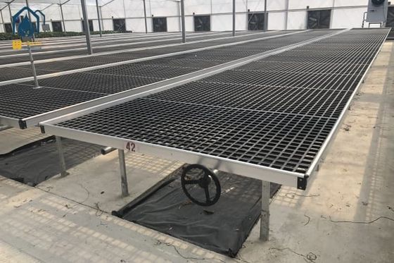 Harga yang bagus Solid Greenhouse Plastic Seedling Tray / Rolling Grow Tray Dengan Welding Wire Mesh on line