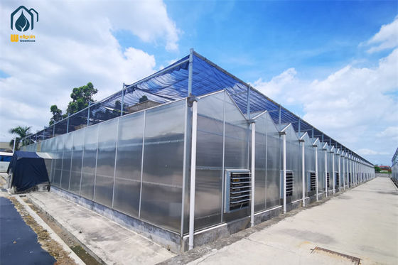 Ein guter Preis. Pflanzenwachstum Polycarbonat Gewächshaus mit schneebeständigem Aluminiumrahmen Online