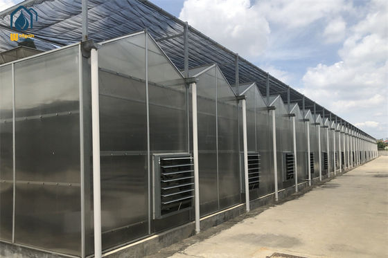 Un buen precio. Invernadero de paneles de policarbonato personalizados Invernadero vegetal durante todo el año en línea