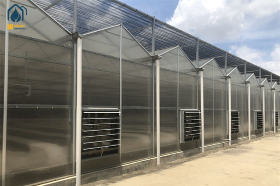 Ein guter Preis. Gewächshäuser aus Polycarbonat für den ökologischen Landbau und die kommerzielle Nutzung Online