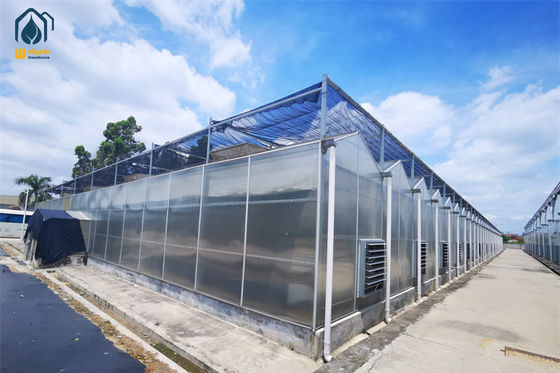 Harga yang bagus Rumah Kaca Polikarbonat Kerangka Baja tahan lama Untuk Produksi Sayuran Musim Dingin on line