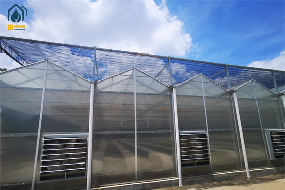 Goede prijs. Hoogopbrengende landbouw Polycarbonaat kas Fruit en groenten kas online